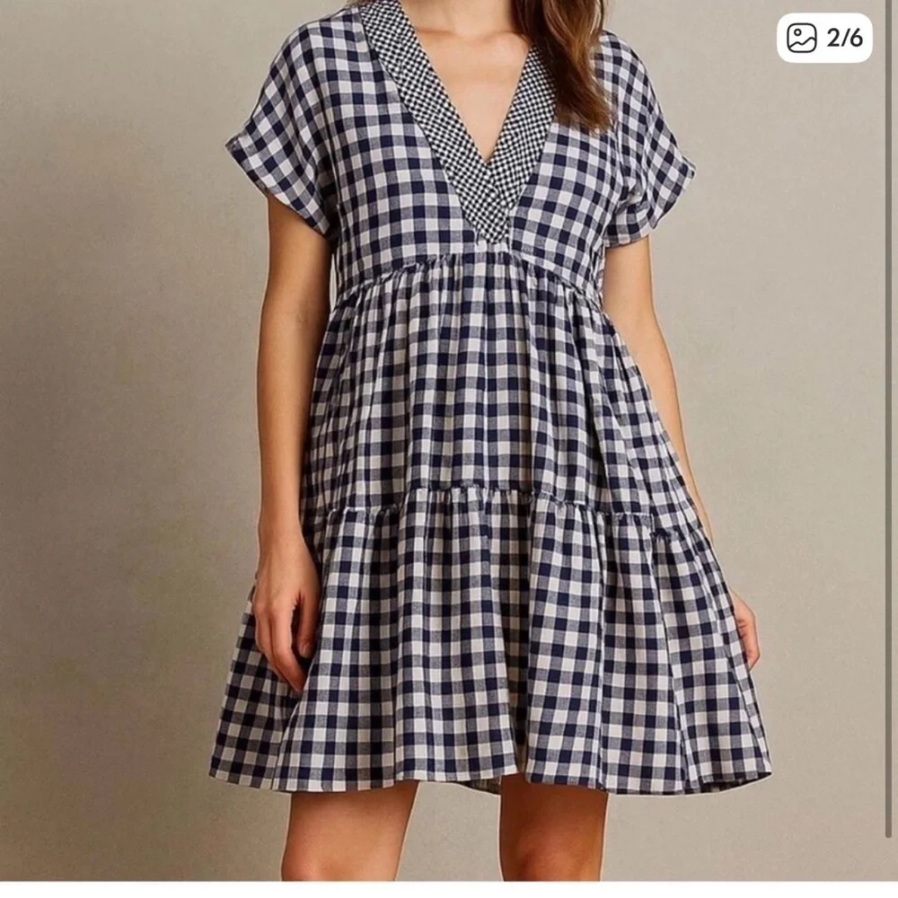 Anthropologie Navy and White Gingham Dress - Picture 7 of 7